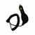 Autolader voor Nokia 6300, E71, N95, N96 etc.
