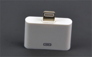 Lightning naar 30-pin dock connector adapter iPad / iPhone